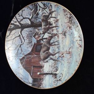 Schmid collector plate